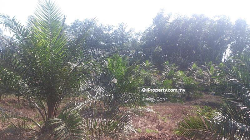 Tanah Pertanian untuk Dijual di Kerling, Kerling oleh Jimmy Goh - iProperty.com.my