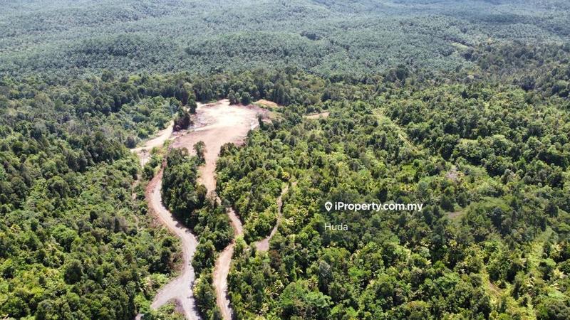 Agricultural Land for Sale in Kuala Rompin, Pahang by Huda - iProperty.com.my