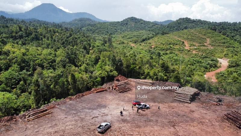 Agricultural Land for Sale in Kuala Rompin, Pahang by Huda - iProperty.com.my