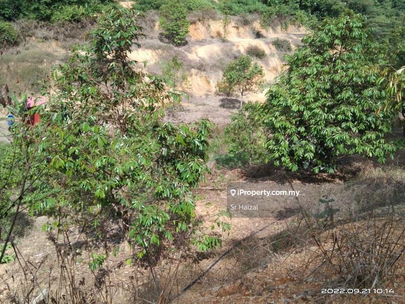 Agricultural Land for Sale in Tampin, Negeri Sembilan by Sr Haizal - iProperty.com.my