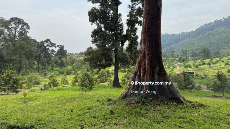 Agricultural Land for Sale in Karak, Karak by Damon Wong - iProperty.com.my