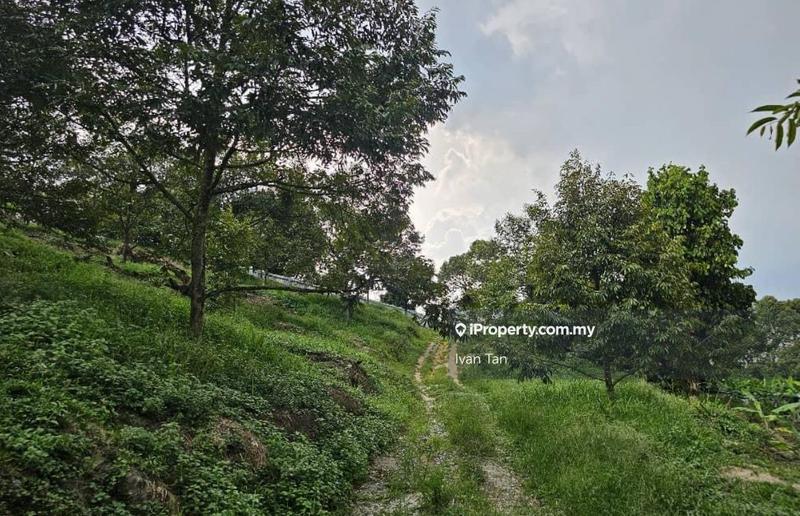 Tanah Pertanian untuk Dijual di Kampung Sungai Makau, Hulu Langat oleh Ivan Tan - iProperty.com.my