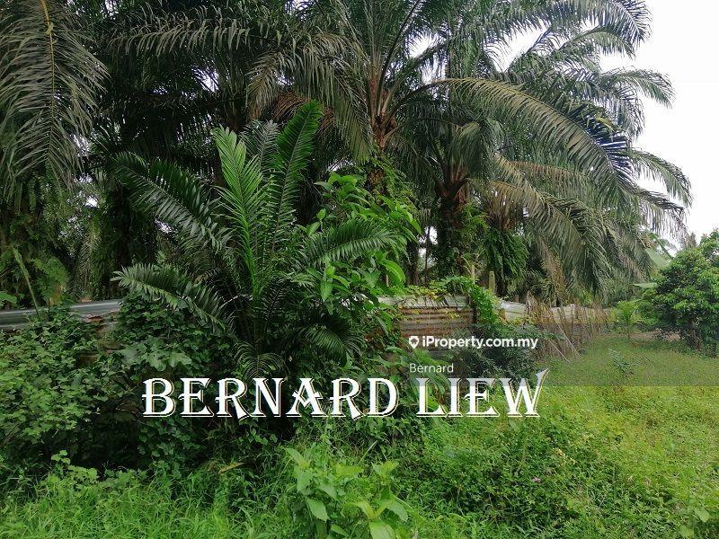 Agricultural Land for Sale in Sungai Nibong, Bayan Lepas by Bernard - iProperty.com.my
