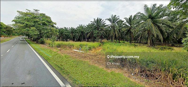 Agricultural Land for Sale in Johor Kluang Taman Puteri 1168 acres Mix deverlope, Kluang by CY Khoo - iProperty.com.my
