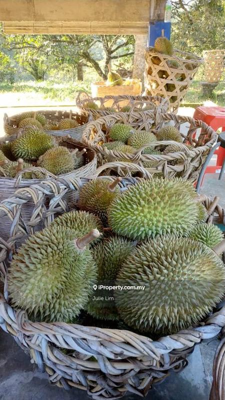 Tanah Pertanian untuk Dijual di Kampung Kuala Slim, Slim oleh Julie Lim - iProperty.com.my