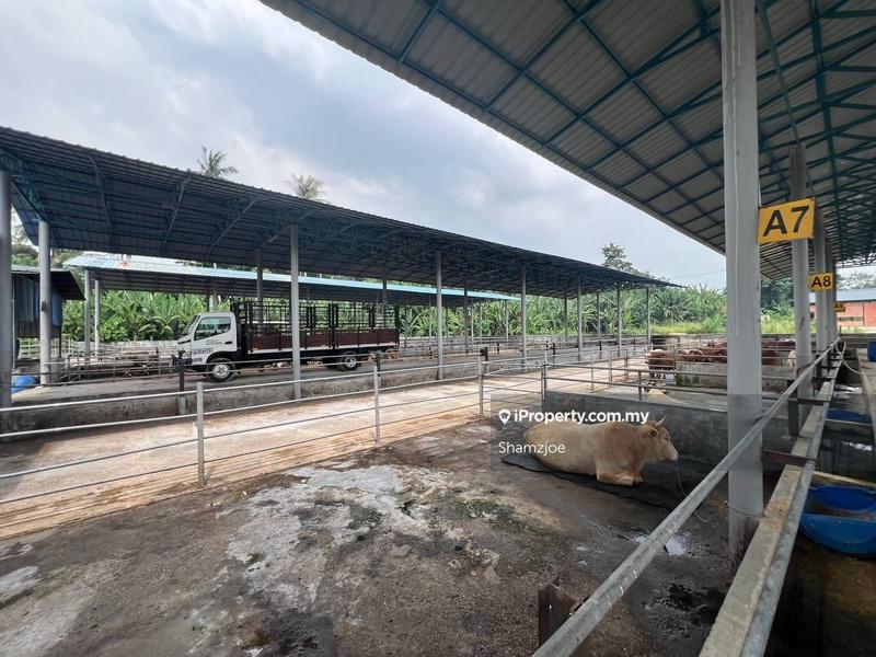 Tanah Pertanian untuk Dijual di Bangi, Bangi oleh Shamzjoe - iProperty.com.my