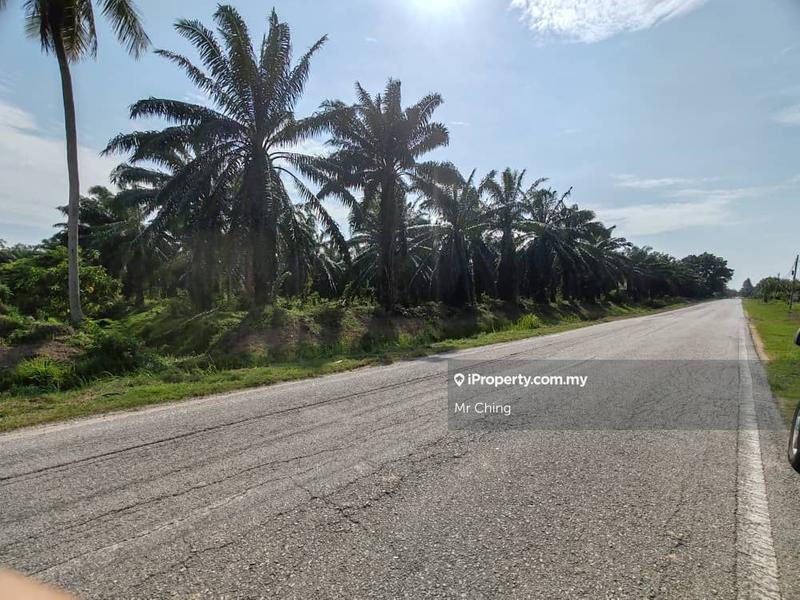Tanah Pertanian untuk Dijual di Simpang Tiga, Jeram oleh Mr Ching - iProperty.com.my