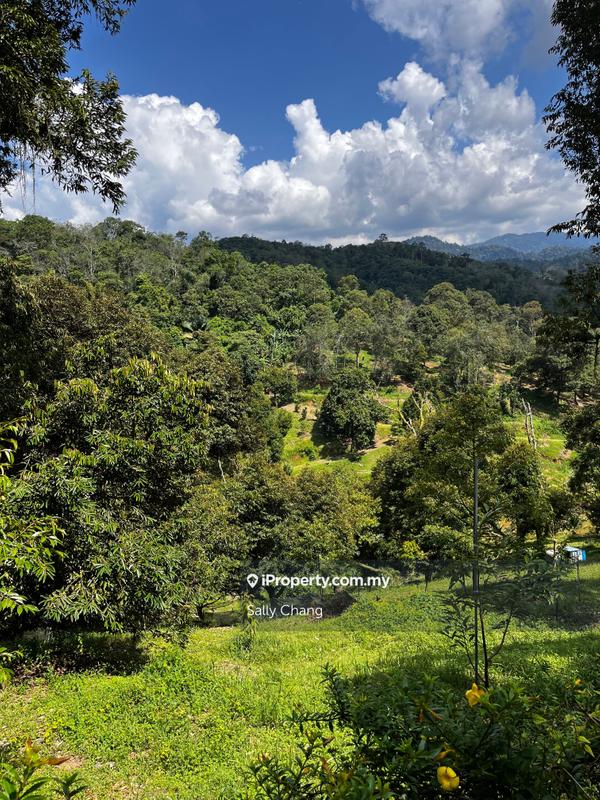 Agricultural Land for Sale in Jelebu, Titi by Sally Chang - iProperty.com.my