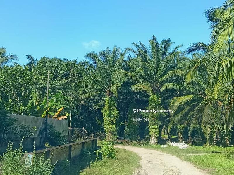 Tanah Pertanian untuk Dijual di Bukit Teh, Bukit Mertajam oleh Kelly Yee - iProperty.com.my