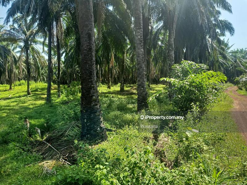 Residential Land for Sale in Bukit Karangan, Padang Serai by Prassana - iProperty.com.my