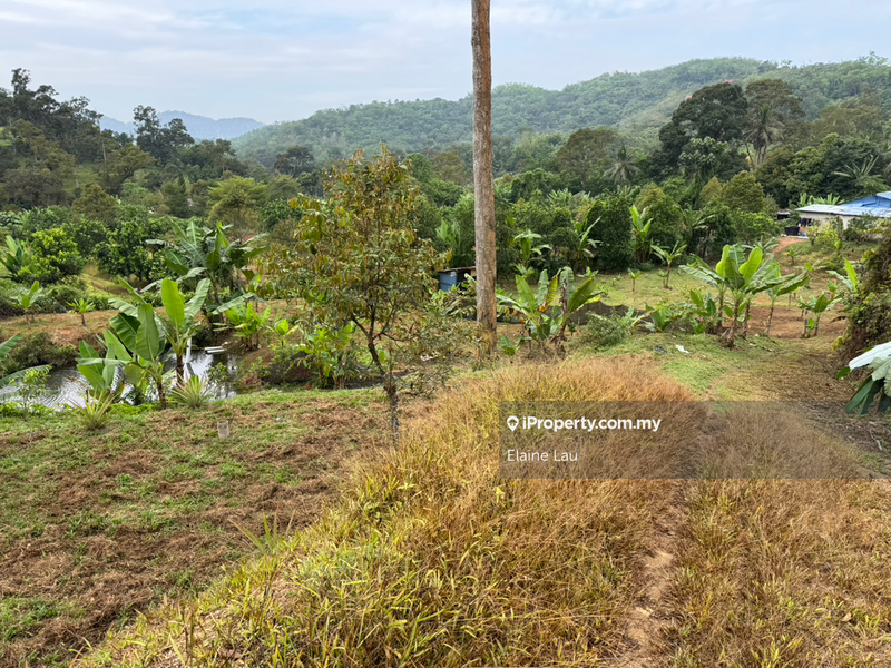 Agricultural Land for Sale in Kampung Sungai Tekali, Hulu Langat by Elaine Lau - iProperty.com.my