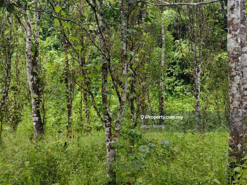 Tanah Pertanian untuk Dijual di Jalan Kota Bharu, Gua Musang, Kuala Krai, Kelantan, Gua Musang oleh Jason Wong - iProperty.com.my