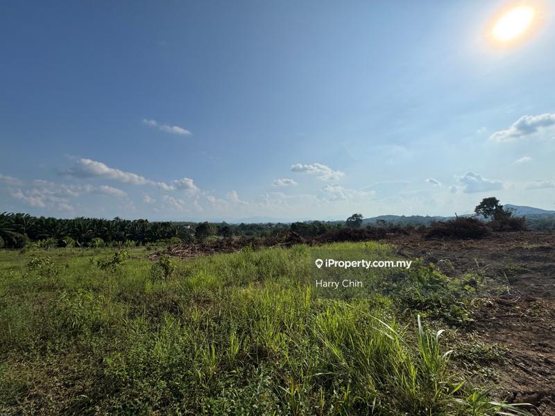 Agricultural Land for Sale in 2.56ac beside main road, Lanchang, Karak by Harry Chin - iProperty.com.my