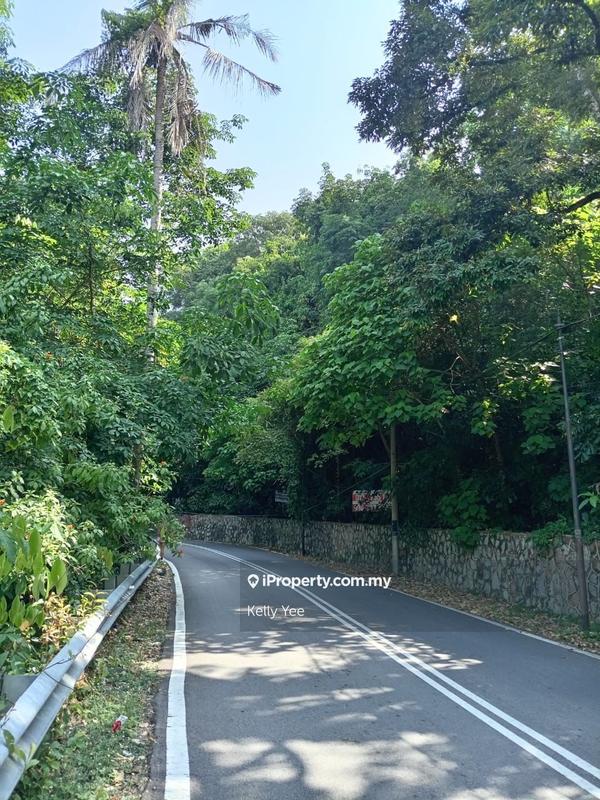 Agricultural Land for Sale in Teluk Tempoyak, Batu Maung by Kelly Yee - iProperty.com.my