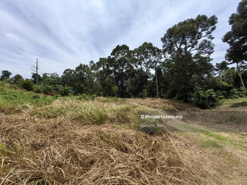 Agricultural Land for Sale in Bandar Lipis, Kuala Lipis by Vincent Tee - iProperty.com.my