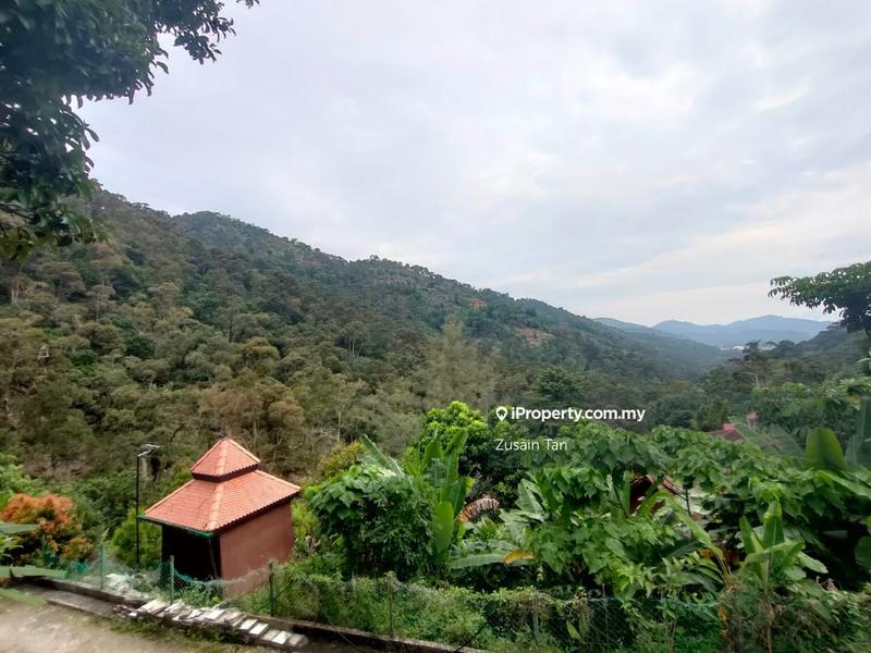 Agricultural Land for Sale in Kampung Titi Serong, Balik Pulau by Zusain Tan - iProperty.com.my