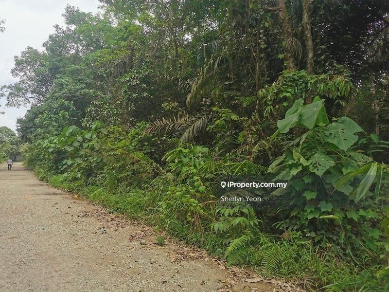 Agricultural Land for Sale in Sungai Dua, Sabai by Sherlyn Yeoh - iProperty.com.my