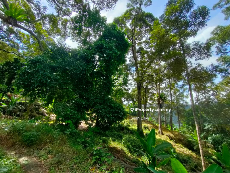 Agricultural Land for Sale in Pulau Penang, Bayan Lepas by Sean Liew - iProperty.com.my