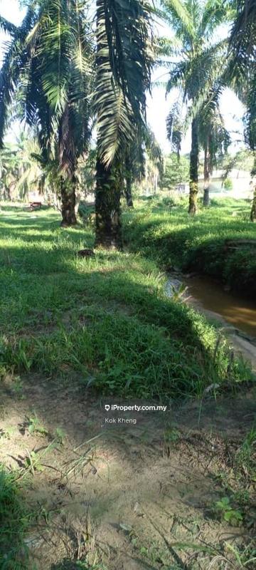 Agricultural Land for Sale in Taman Melaka Pindah, Alor Gajah by Kok Kheng - iProperty.com.my