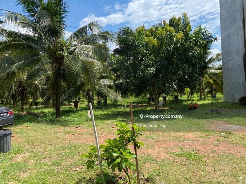 Agricultural Land for Sale in Panchor, Durian Tunggal by Benjamin Yap - iProperty.com.my
