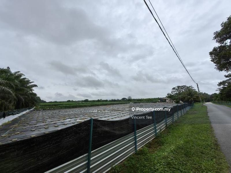Tanah Pertanian untuk Dijual di Felda Bukit Rokan Barat, Gemencheh oleh Vincent Tee - iProperty.com.my