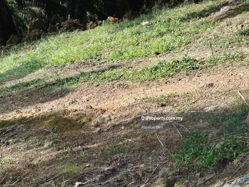 For Sale - 2pcs of 4 Acres Agricultural Land(Road Side) @ Desa Makmur, Mukim Kota Tinggi
