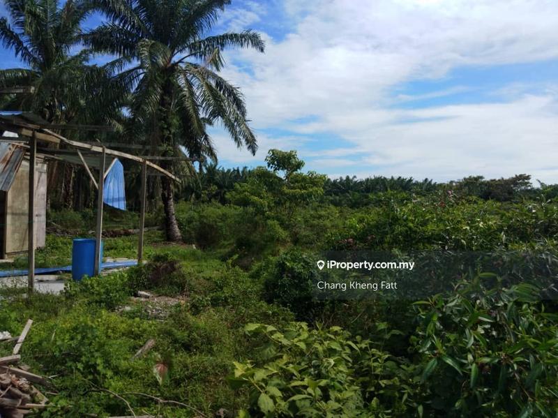 Tanah Pertanian untuk Dijual di Banting, Banting oleh Chang Kheng Fatt - iProperty.com.my