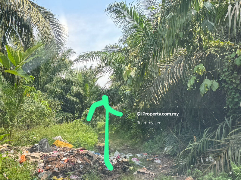 For Rent - 3 Acres Agricultural Land, Jalan Paip,Meru,Klang, Desa Bukit Nilam