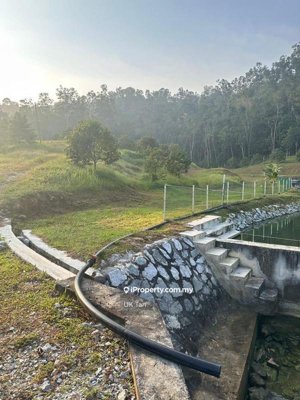 For Rent - Agriculture Land 6 Acres @ Serendah Rawang