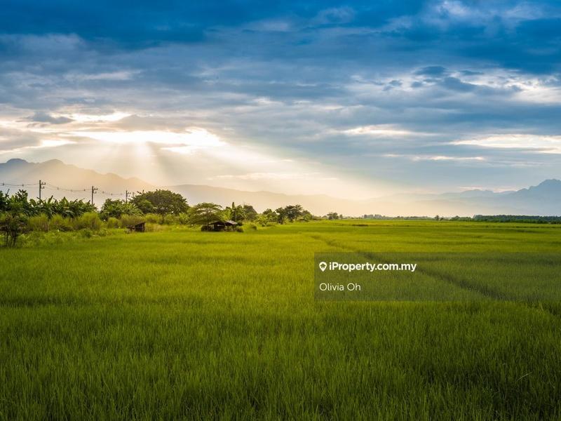 Tanah Perindustrian untuk Dijual di Pajam, Mantin oleh Olivia Oh - iProperty.com.my