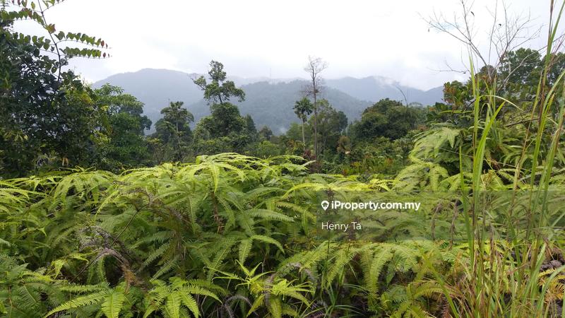 Bungalow Land for Sale in BUKIT TINGGI BERJAYA HILL, Bentong by Henry Ta - iProperty.com.my