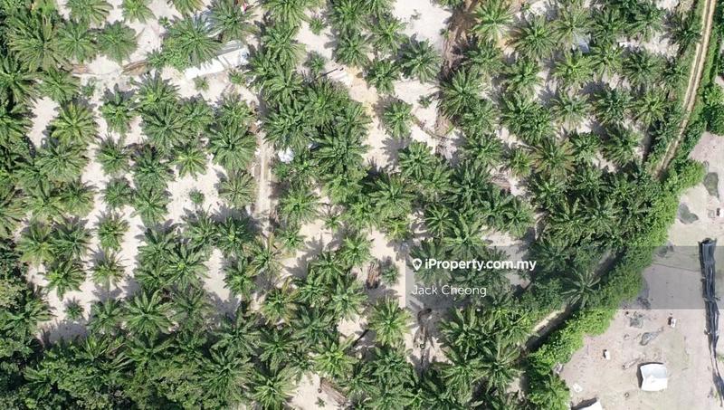 Agricultural Land for Sale in Valdor, Sungai Jawi by Jack Cheong - iProperty.com.my