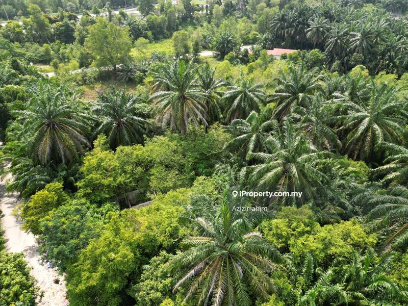 Tanah Kediaman untuk Dijual di Bukit Damar, Dengkil oleh Azizirrahim - iProperty.com.my
