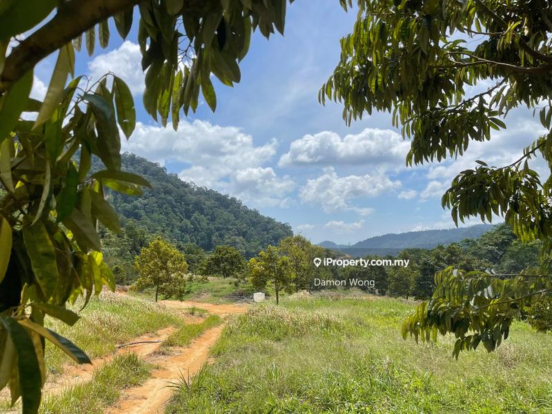 Agricultural Land for Sale in Karak, Bentong by Damon Wong - iProperty.com.my