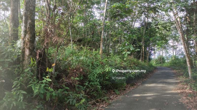 Tanah Pertanian untuk Dijual di hulu rening, Batang Kali oleh Iz Hakim - iProperty.com.my
