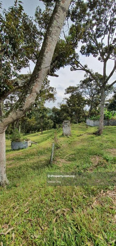 Tanah Pertanian untuk Dijual di Nilai, Negeri Sembilan oleh Sheila Ong - iProperty.com.my