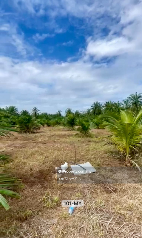 Agricultural Land for Sale in Banting, Banting by Yap Chew Ying - iProperty.com.my
