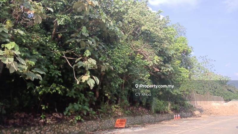 Agricultural Land for Sale in Johor Kluang Taman Puteri 1168 acres Mix deverlope, Kluang by CY Khoo - iProperty.com.my