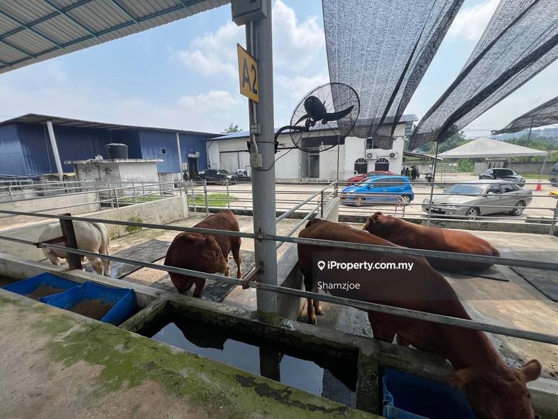 Tanah Pertanian untuk Dijual di Bangi, Bangi oleh Shamzjoe - iProperty.com.my