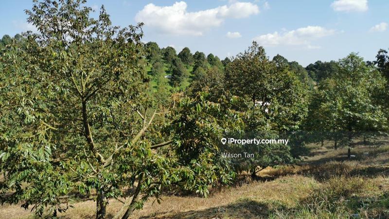 Agricultural Land for Sale in Beranang, Ulu Langat by Wilson Tan - iProperty.com.my