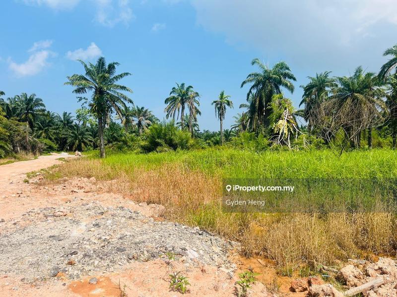 Agricultural Land for Sale in Taman Pontian Jaya, Pontian by Gyden Heng - iProperty.com.my