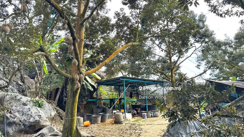 Tanah Pertanian untuk Dijual di Sungai Klau, Raub oleh Damon Wong - iProperty.com.my