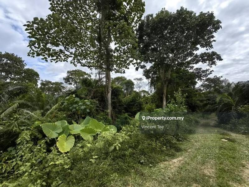 Tanah Pertanian untuk Dijual di Bandar Baru Temerloh, Temerloh oleh Vincent Tee - iProperty.com.my