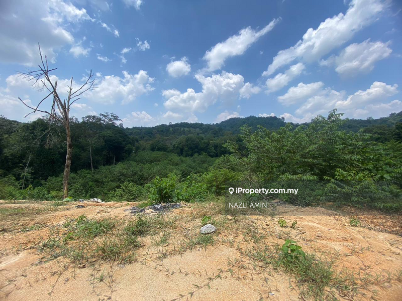 Tanah Pertanian untuk Dijual di Sungai Pening, Semenyih oleh NAZLI AMIN - iProperty.com.my