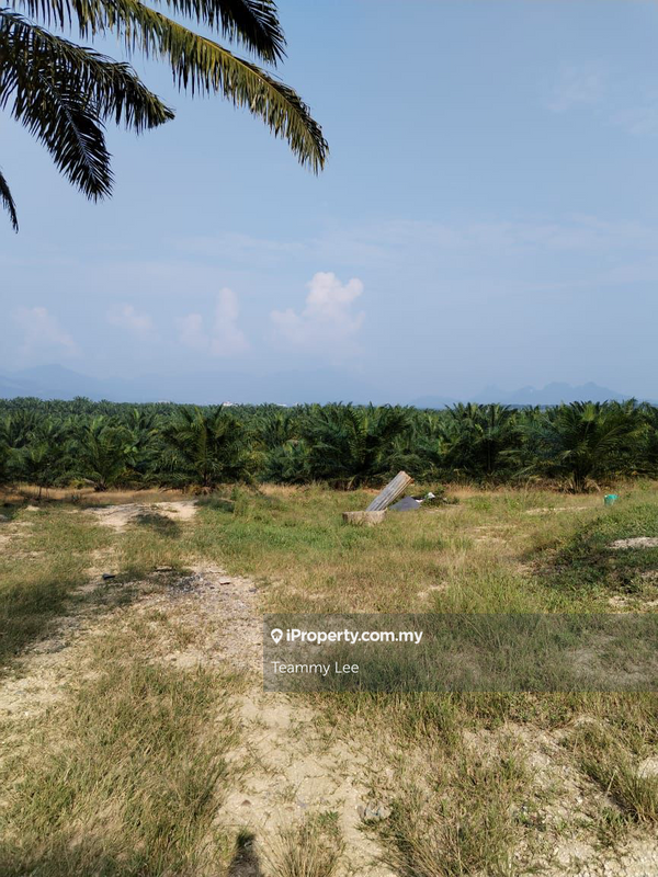 Tanah Pertanian untuk Dijual di Bandar Sungai Siput, Sungai Siput oleh Teammy Lee - iProperty.com.my
