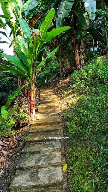 Tanah Pertanian untuk Dijual di Bentong Sang Lee ,Raub, Raub oleh Grace Tan - iProperty.com.my