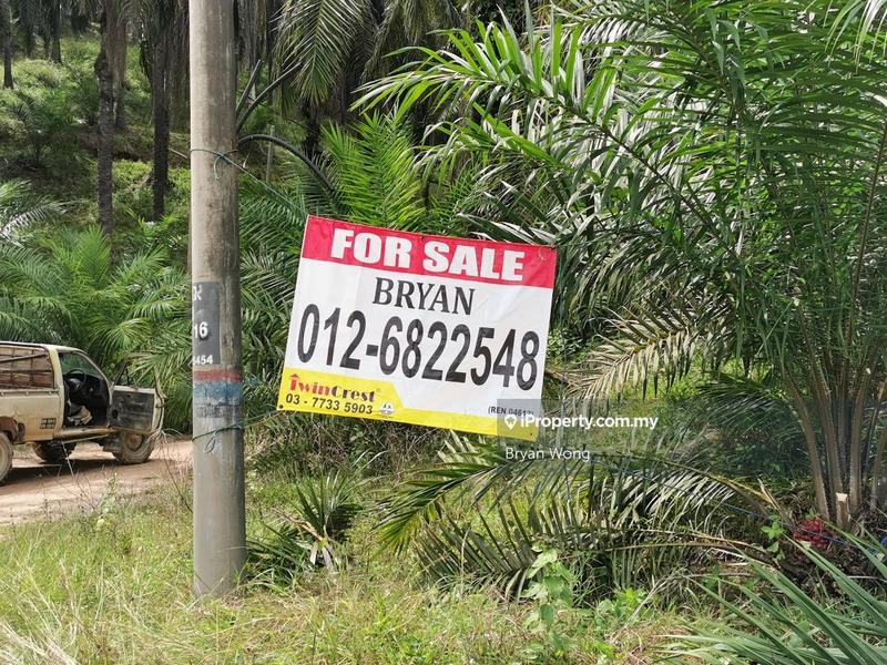 Agricultural Land for Sale in Penjom, Kuala Lipis, Pahang, Kuala Lipis by Bryan Wong - iProperty.com.my