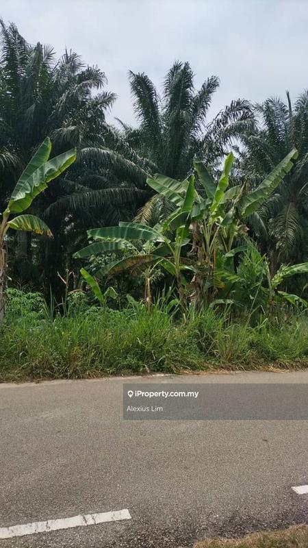 Agricultural Land untuk Dijual di Kampung Penerok, Kukup oleh Alexius Lim - iProperty.com.my