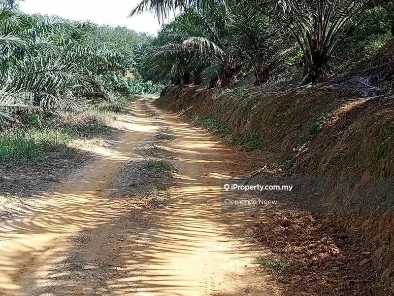 For Sale - Batang Padang