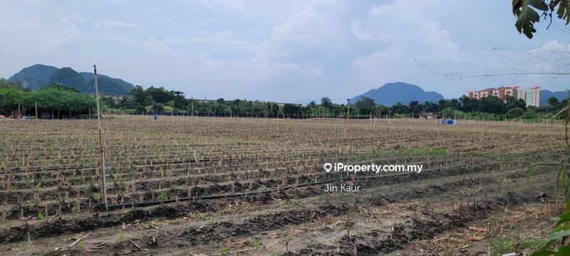 Agricultural Land for Sale in Simpang Pilai, Mukim Sungei Raya, Gopeng by Jin Kaur - iProperty.com.my